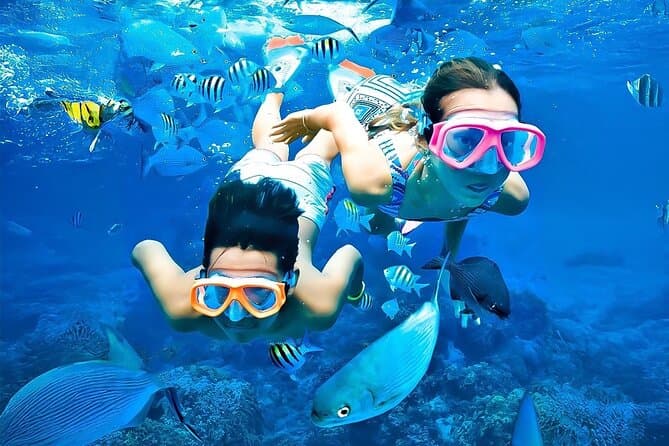 Pigeon Island Reef Dive