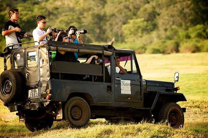 Yala Jeep Safari
