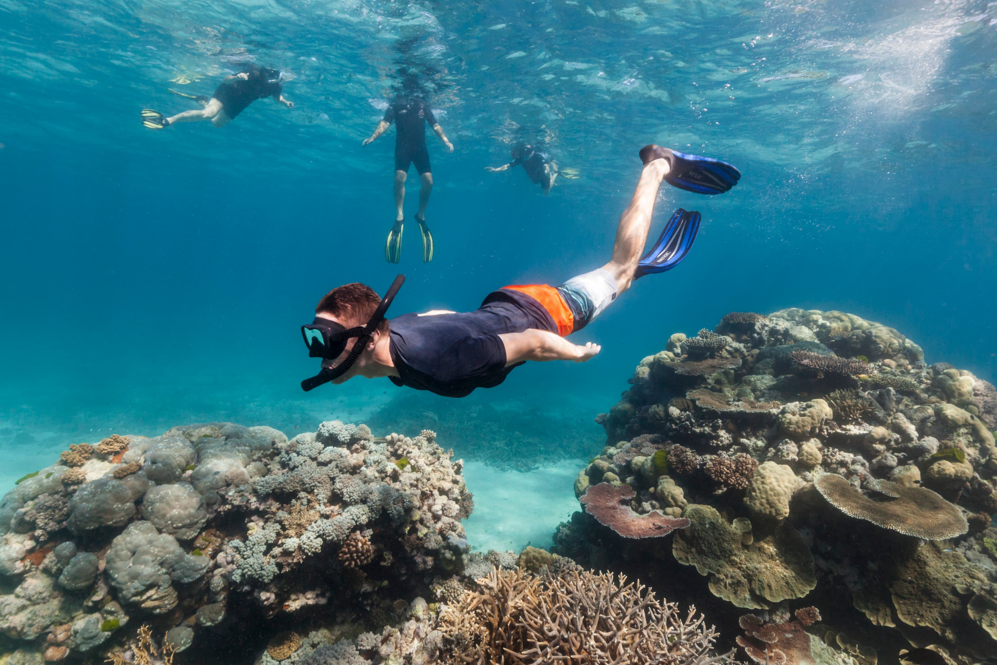 Diving & Snorkeling