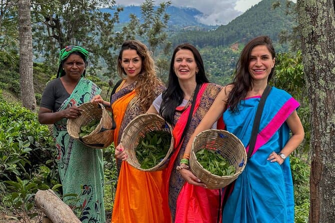 Tea, Spice & Plantation
