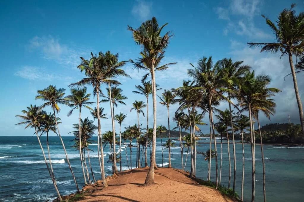 Nilaveli Beach Relaxation
