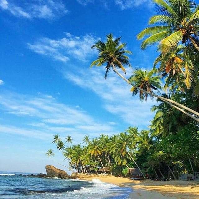 BeCoconut
