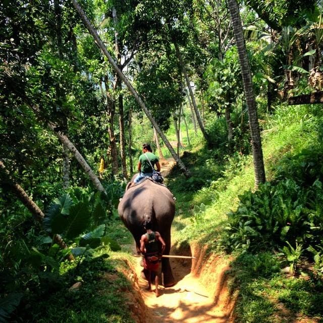 BeCoconut — photo 4